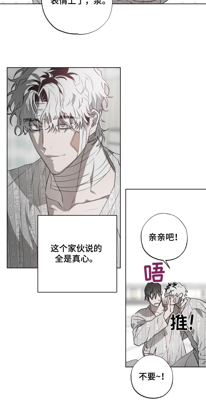 《前世梦魇》第19章：有人来看我 第6页