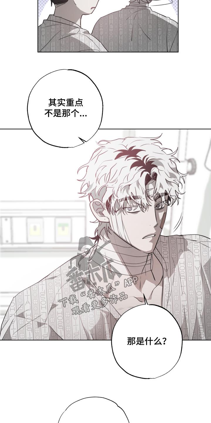 《前世梦魇》第19章：有人来看我 第16页