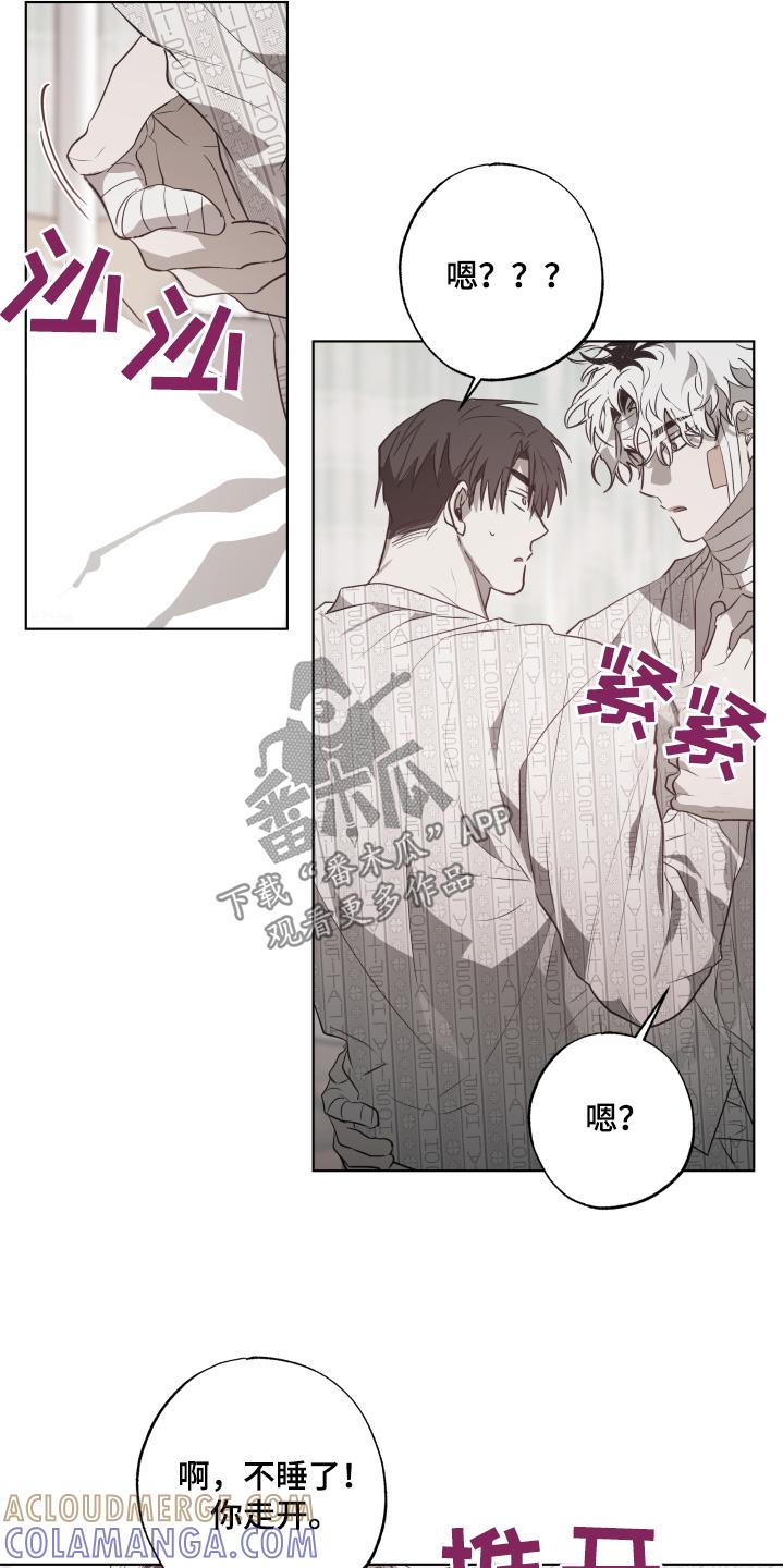 《前世梦魇》第19章：有人来看我 第9页