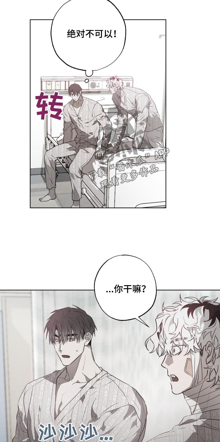《前世梦魇》第19章：有人来看我 第12页