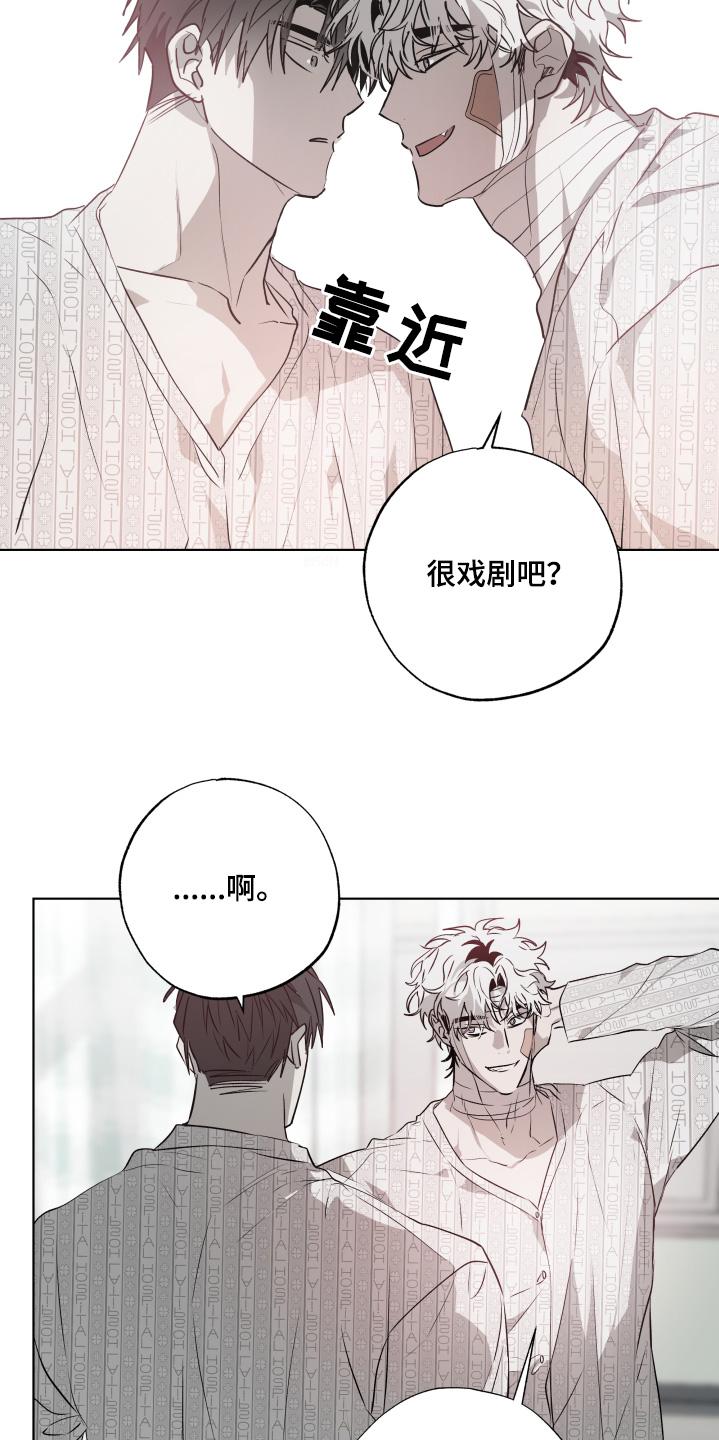 《前世梦魇》第20章：我走了 第2页