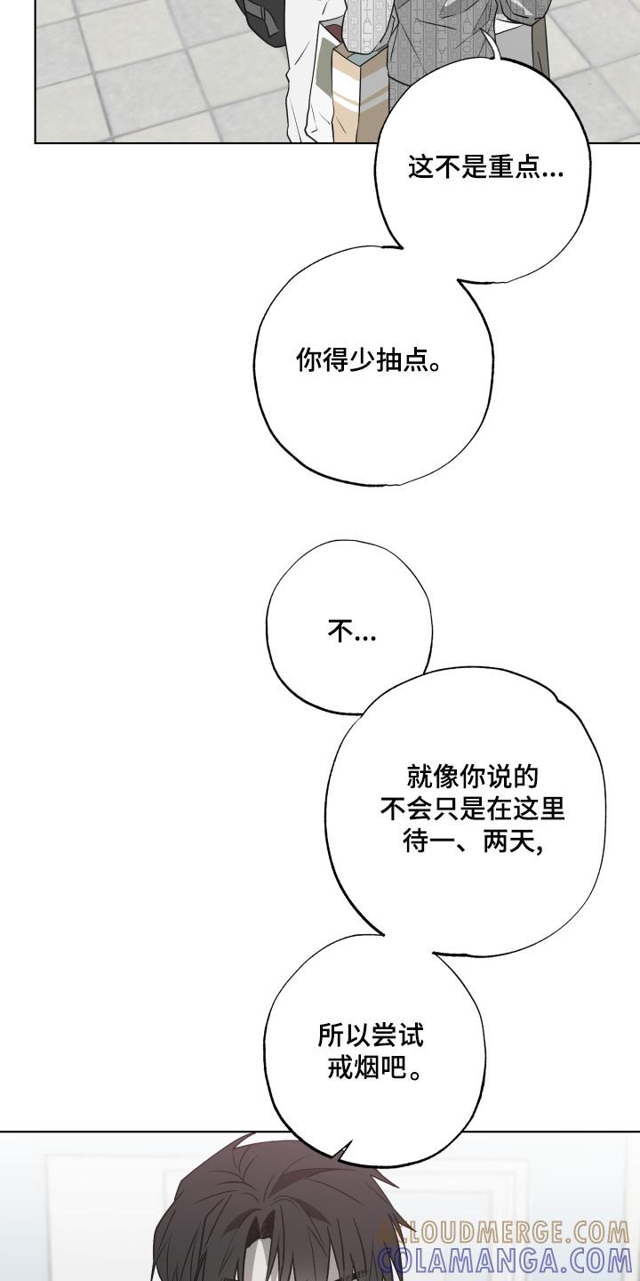 《前世梦魇》第21章：你生病了 第11页