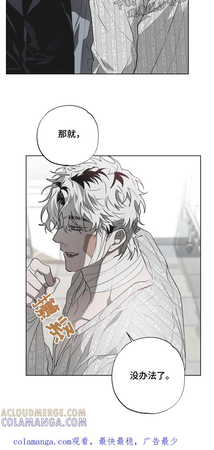 《前世梦魇》第21章：你生病了 第23页
