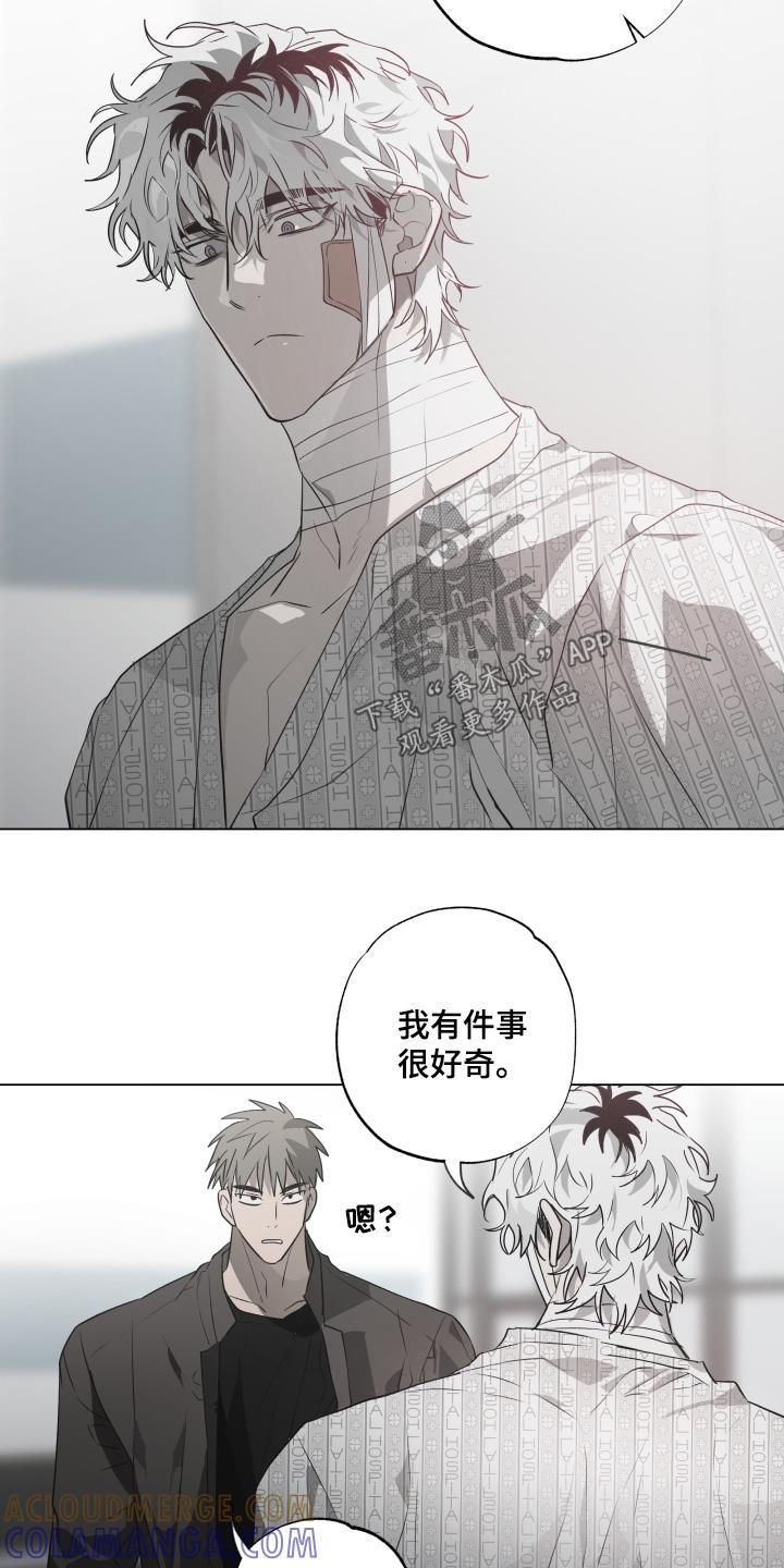 《前世梦魇》第23章：暴脾气 第7页