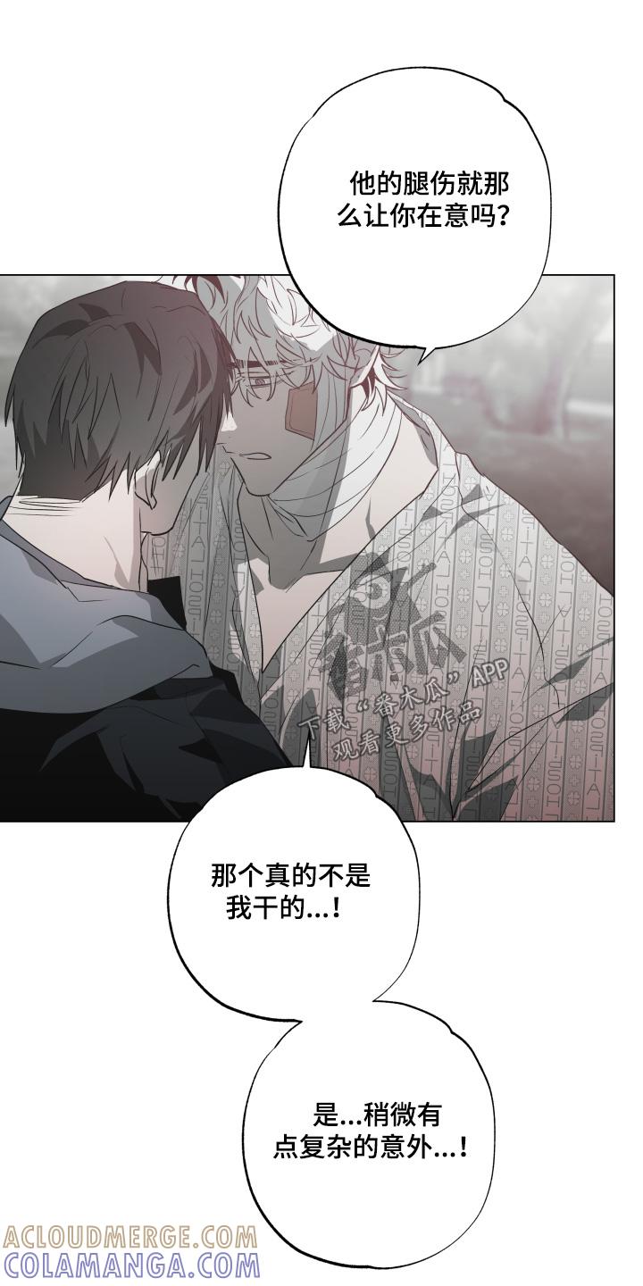 《前世梦魇》第24章：你怕我嘛 第21页