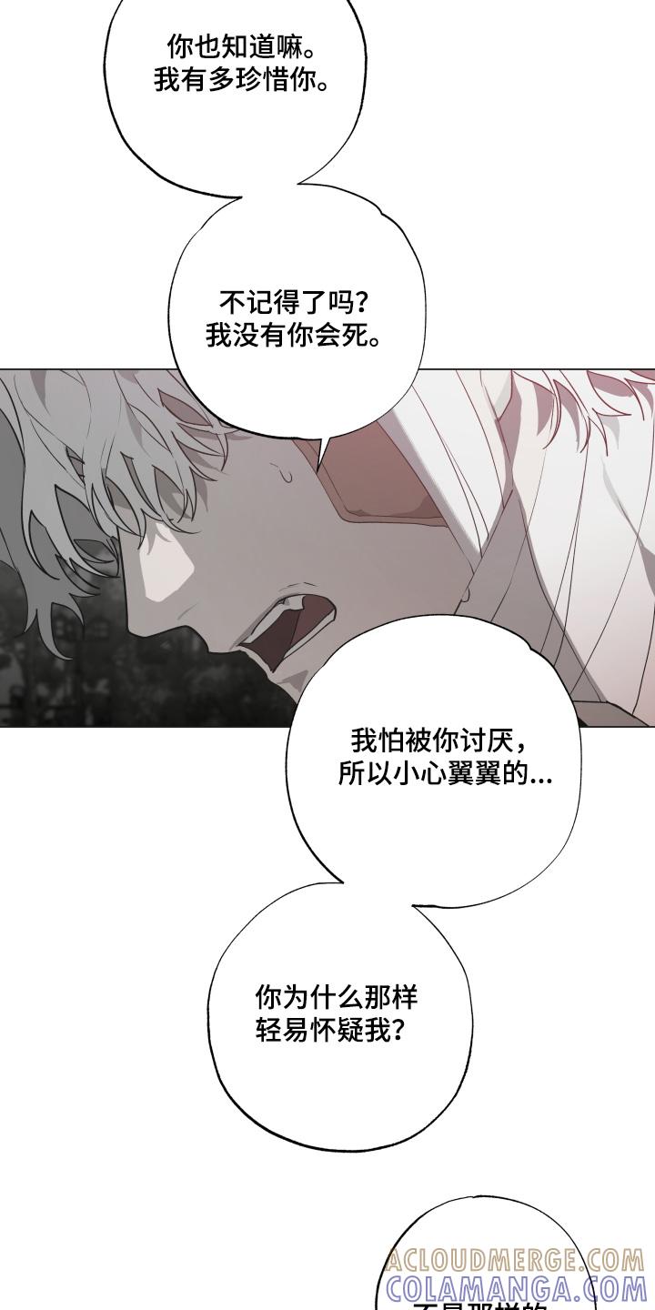 《前世梦魇》第24章：你怕我嘛 第19页
