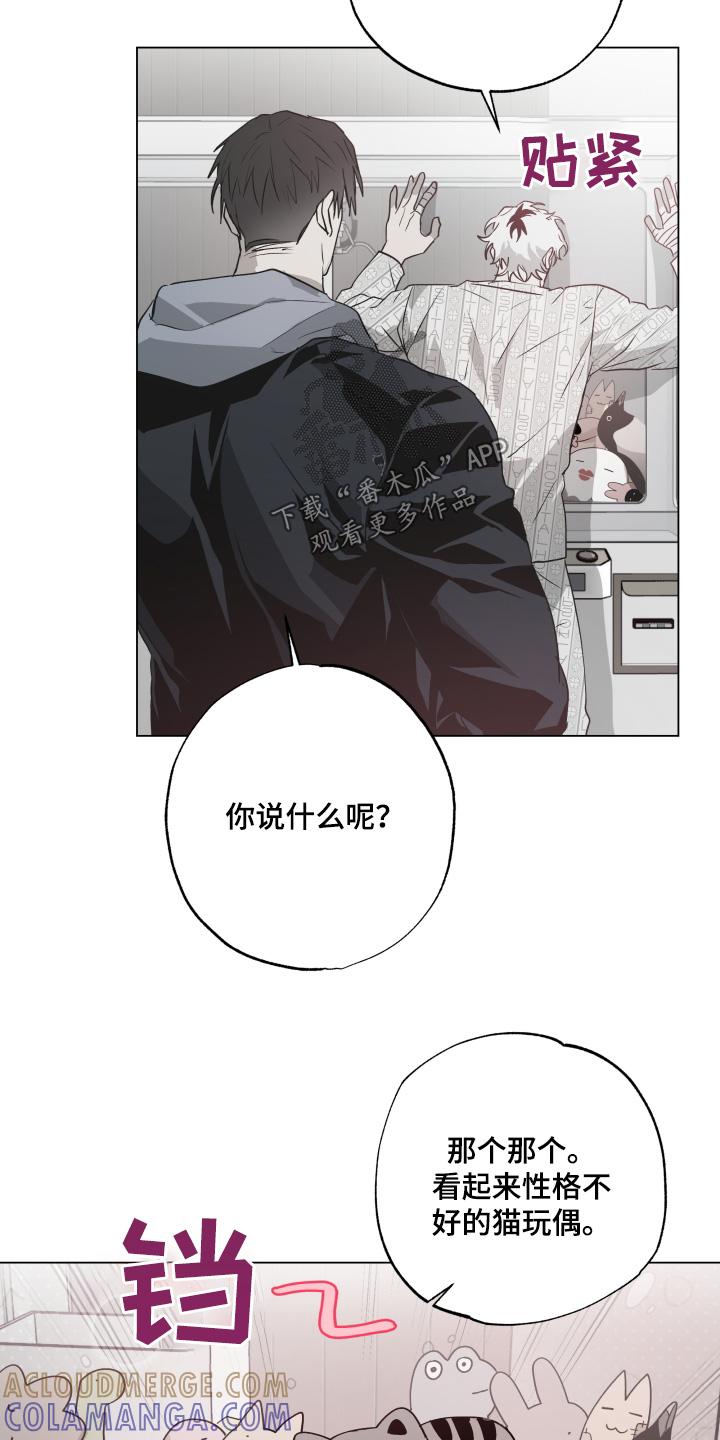 《前世梦魇》第25章：抓娃娃 第19页