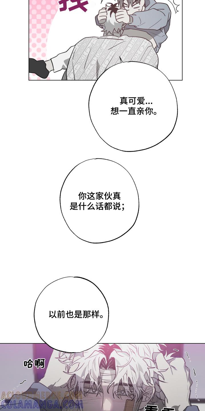 《前世梦魇》第27章：太慌张了 第5页