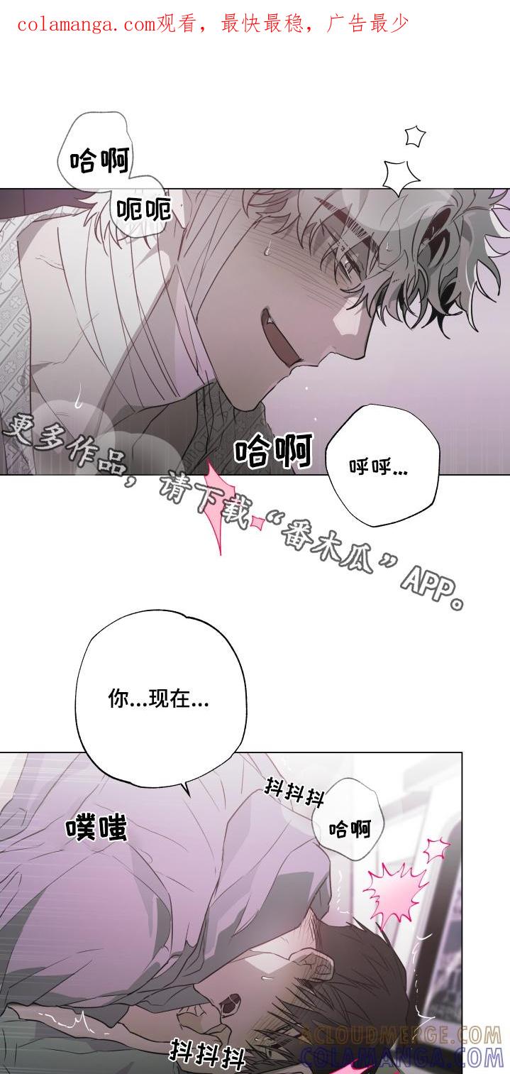 《前世梦魇》第28章：到此为止 第1页
