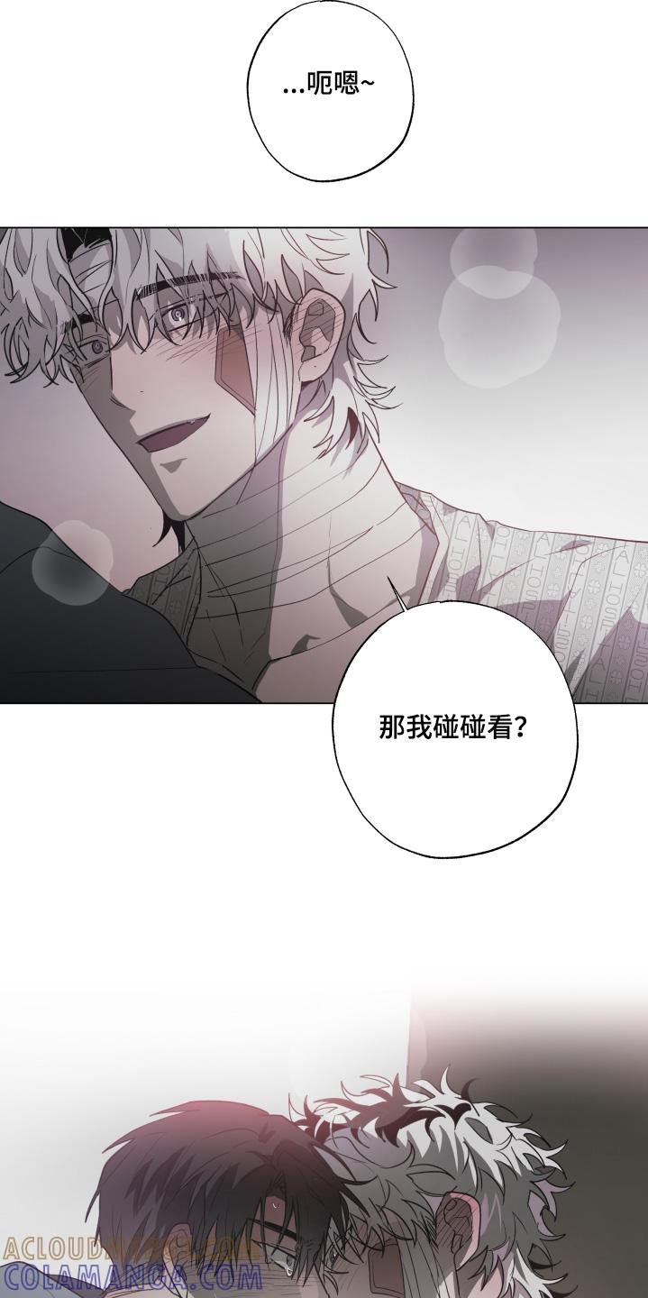 《前世梦魇》第28章：到此为止 第21页