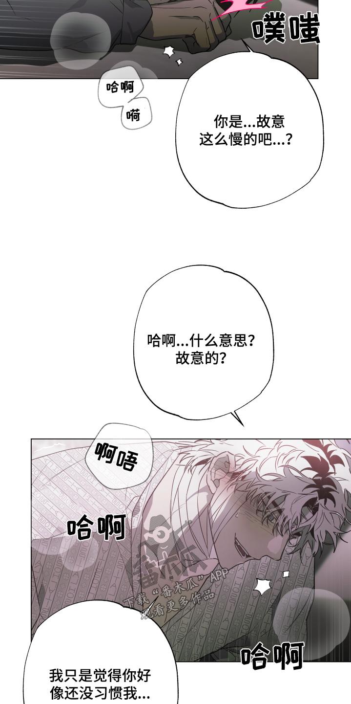 《前世梦魇》第28章：到此为止 第2页