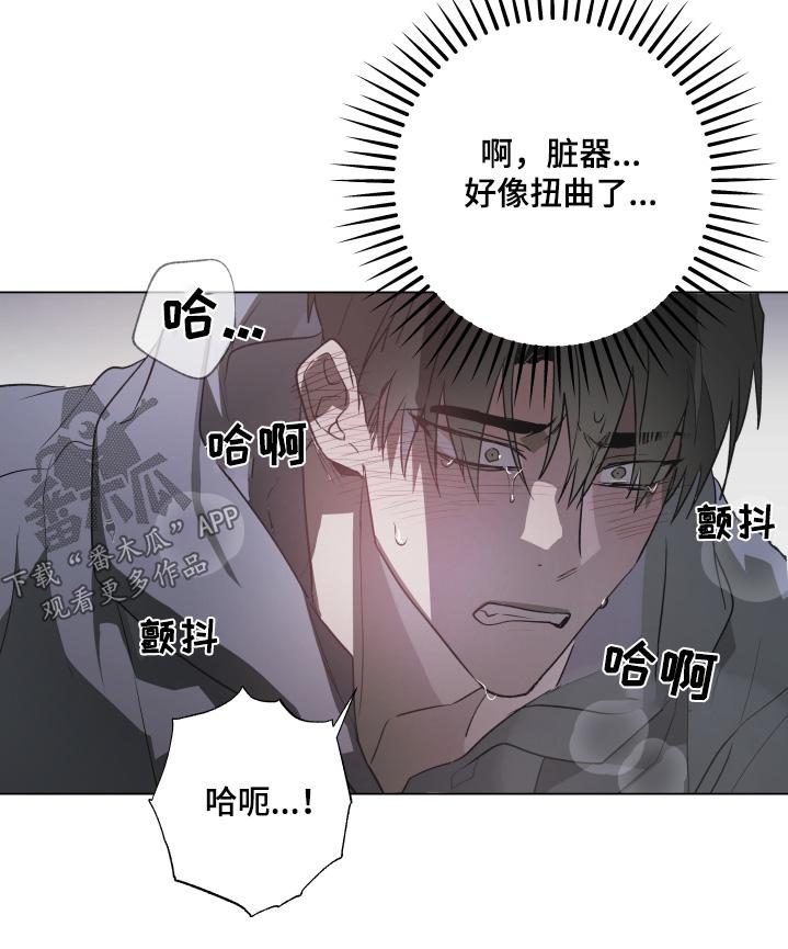 《前世梦魇》第28章：到此为止 第6页