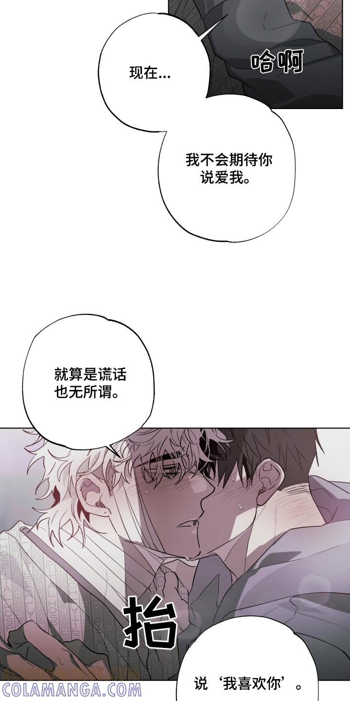 《前世梦魇》第29章：喜欢你 第15页