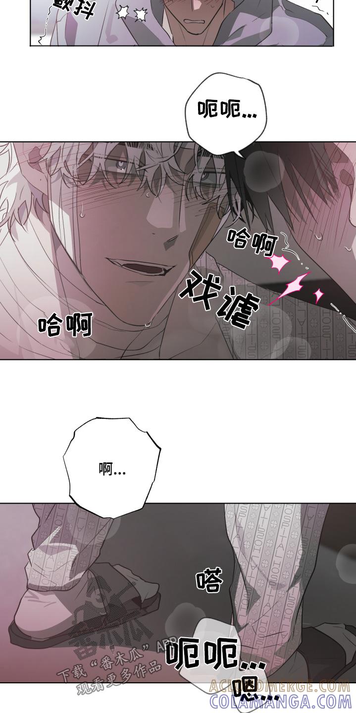 《前世梦魇》第29章：喜欢你 第11页