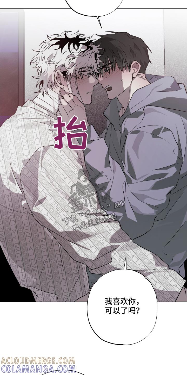 《前世梦魇》第29章：喜欢你 第19页