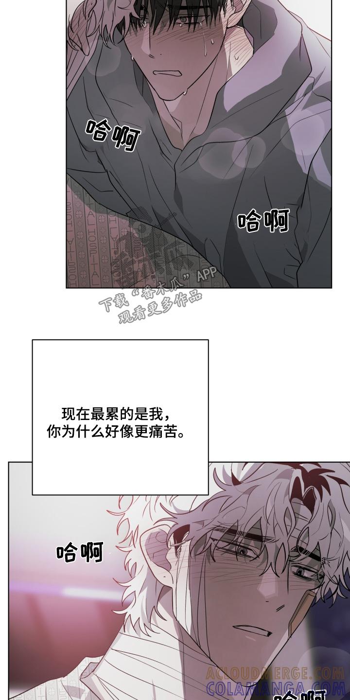 《前世梦魇》第29章：喜欢你 第17页