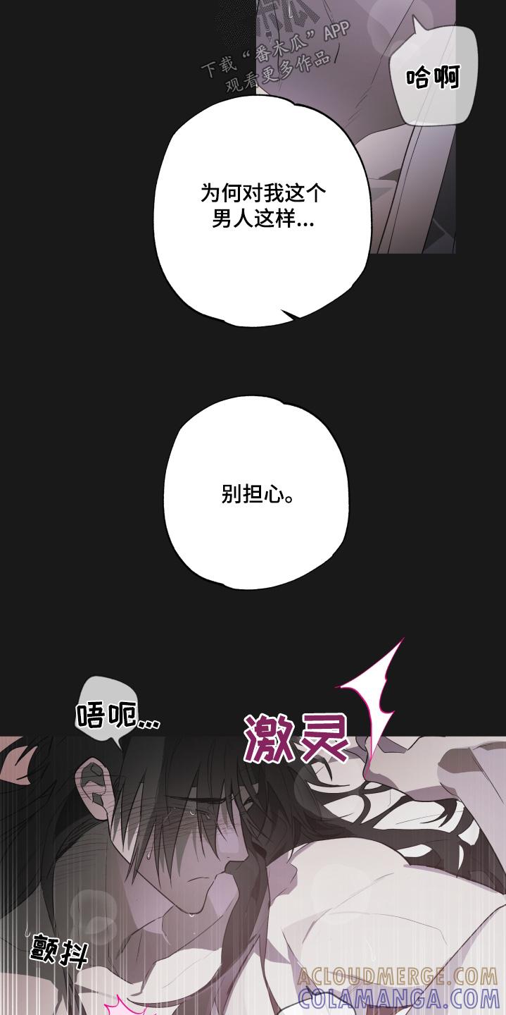 《前世梦魇》第30章：是是谁 第3页