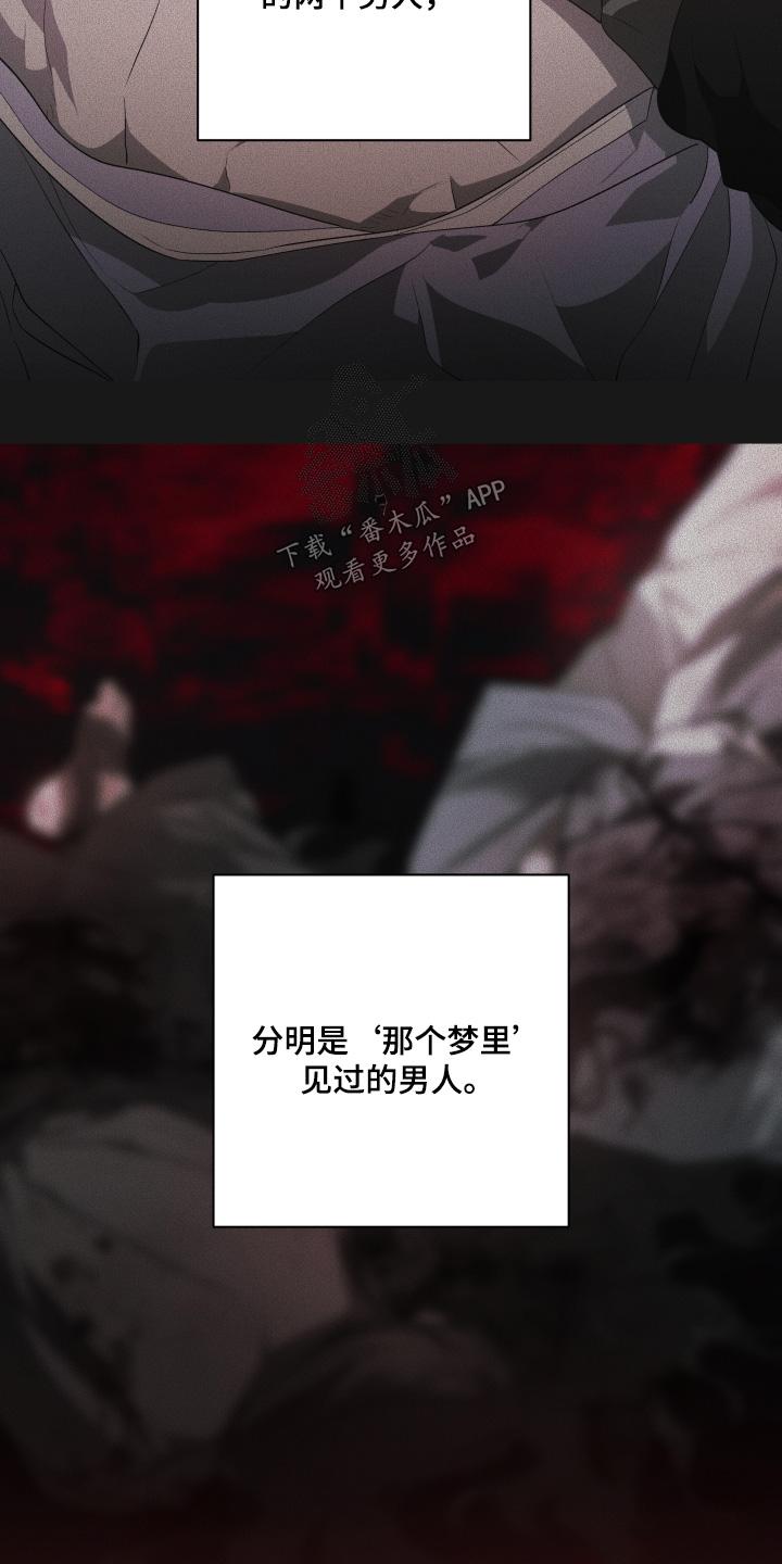 《前世梦魇》第30章：是是谁 第14页