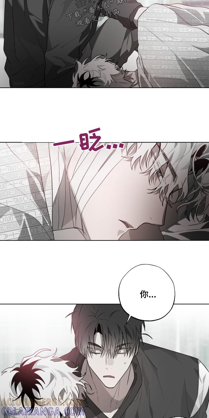 《前世梦魇》第30章：是是谁 第27页