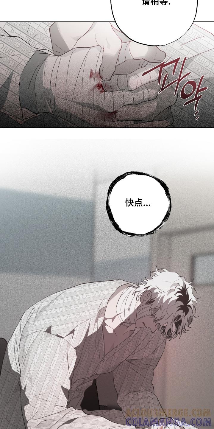 《前世梦魇》第33章：检查 第3页
