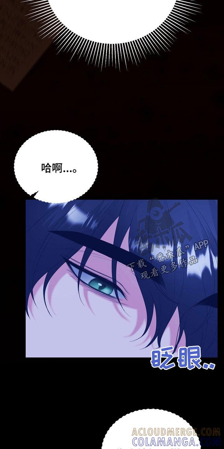 《冒牌恋人》第33章：全都是假的 第17页