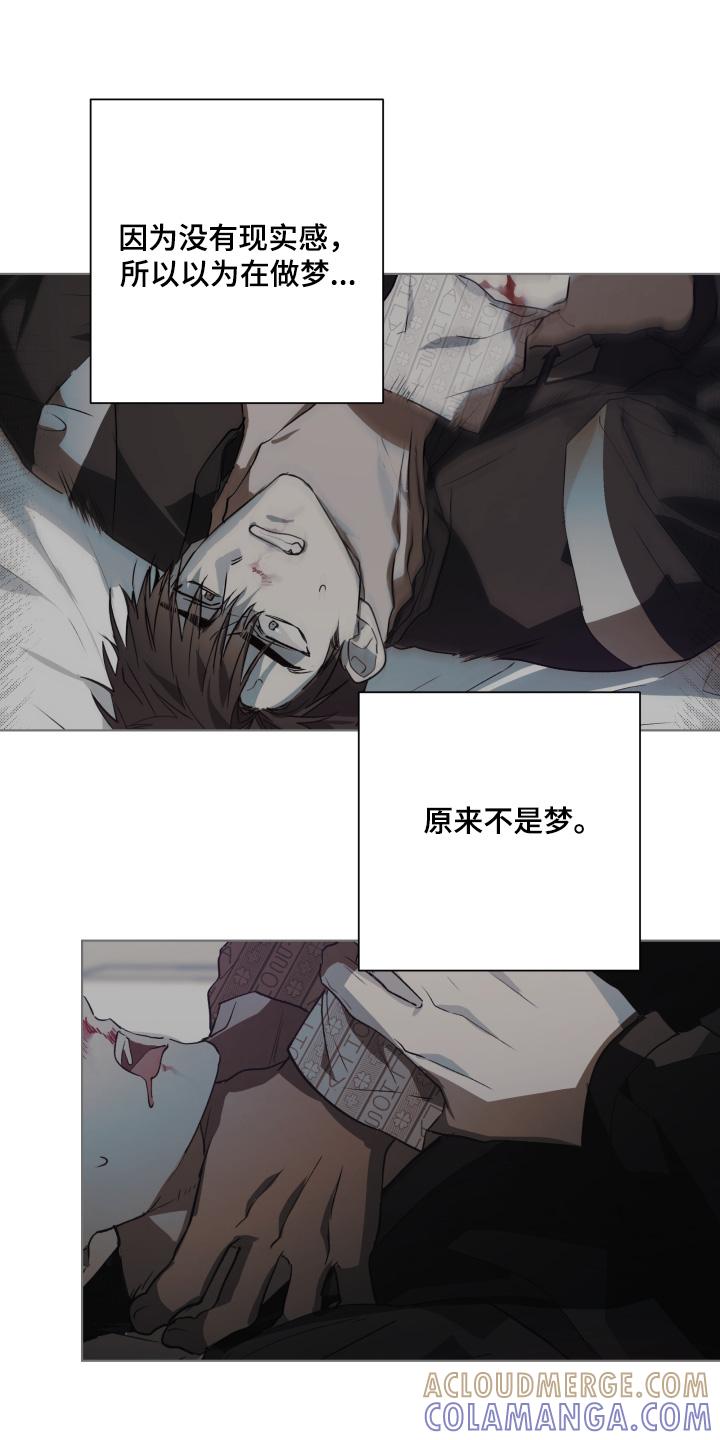 《前世梦魇》第35章：原来是梦 第17页