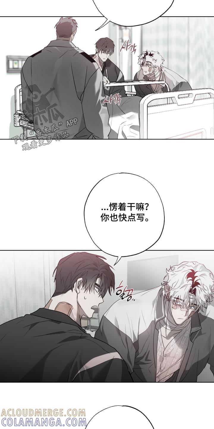 《前世梦魇》第36章：害怕失去 第9页