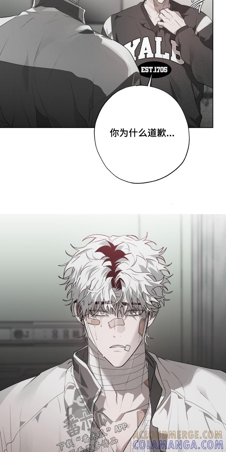 《前世梦魇》第36章：害怕失去 第19页