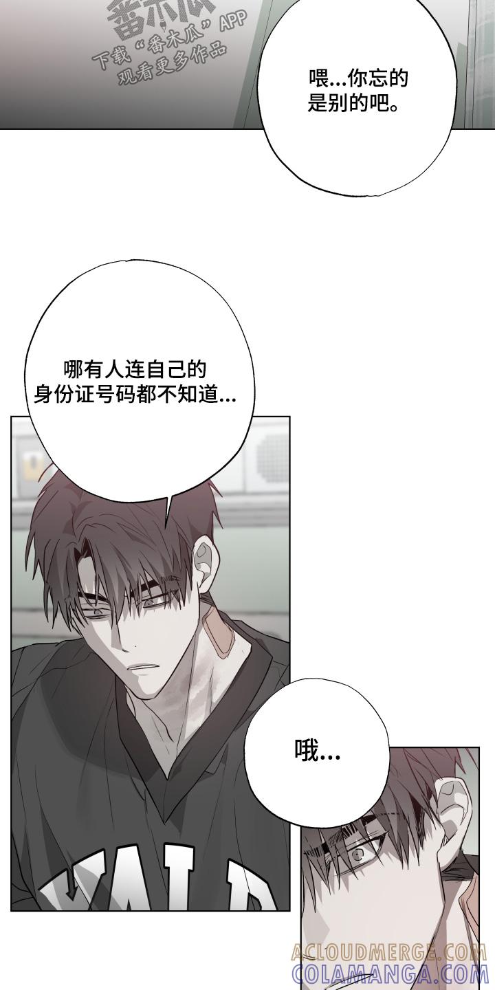 《前世梦魇》第36章：害怕失去 第11页