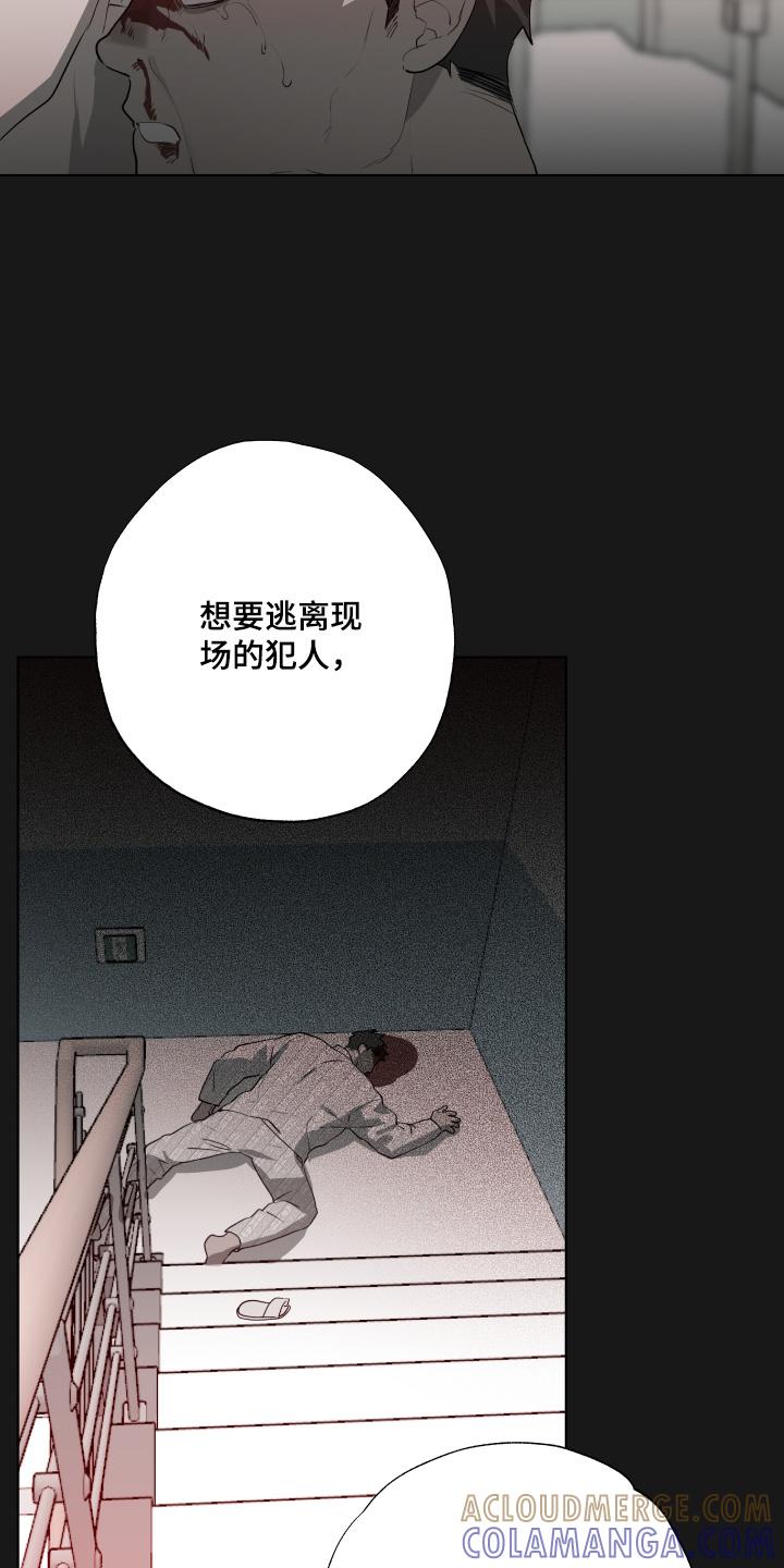 《前世梦魇》第36章：害怕失去 第3页