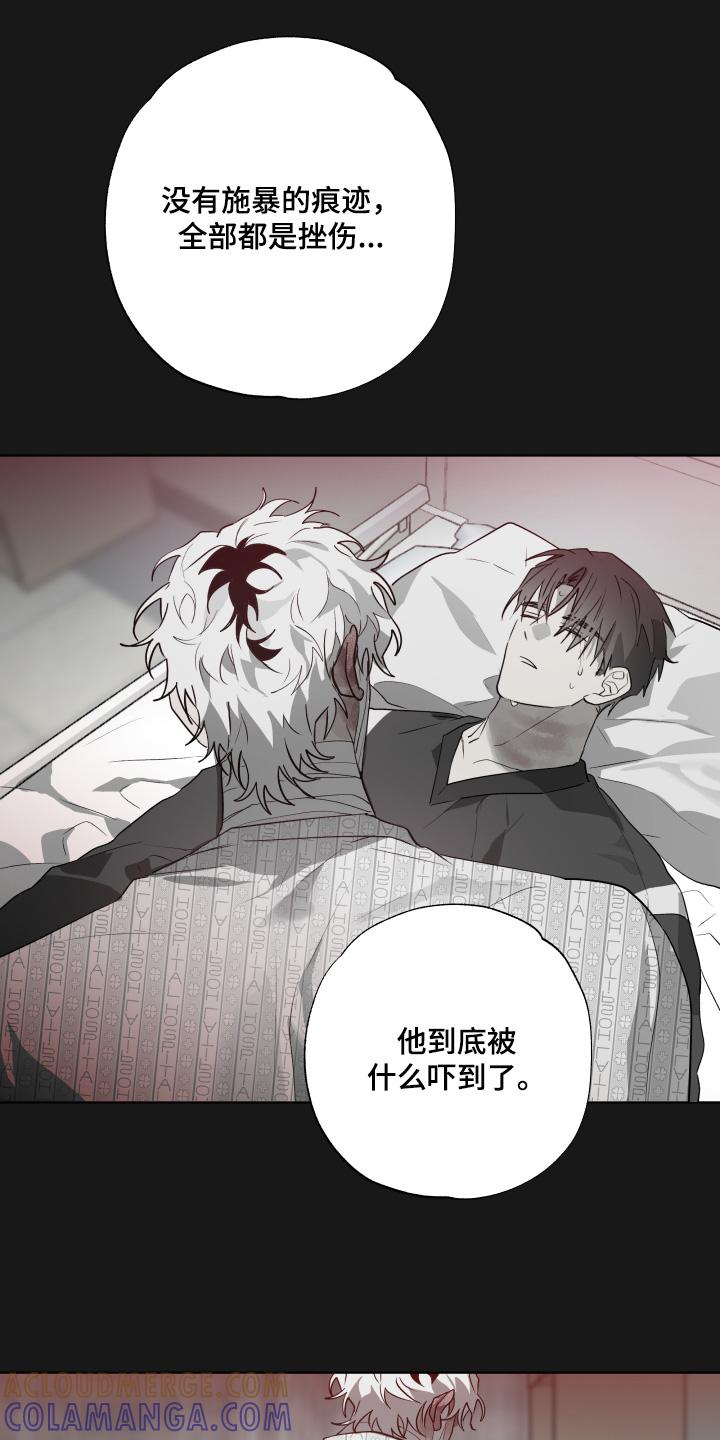 《前世梦魇》第36章：害怕失去 第5页