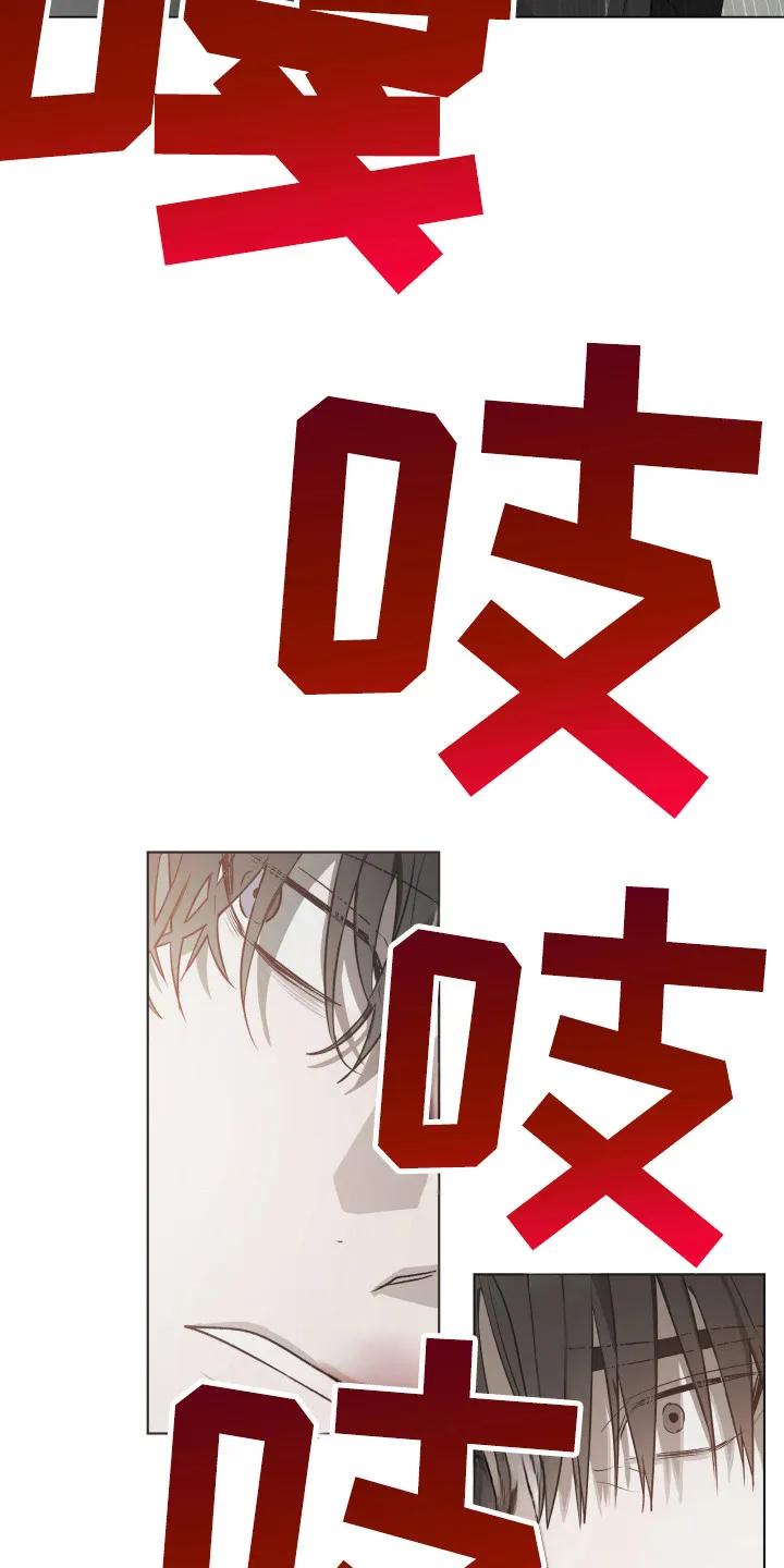《前世梦魇》第4章：车祸 第20页