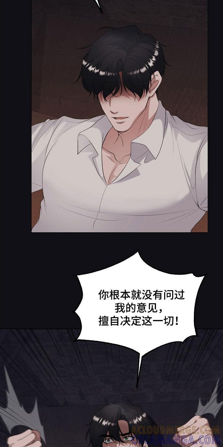 《冒牌恋人》第41章：假人 第17页