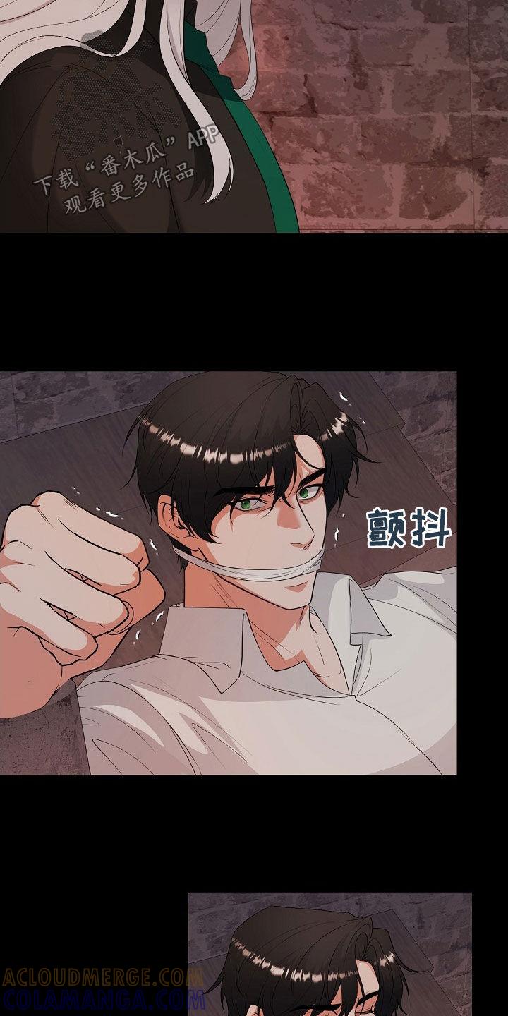 《冒牌恋人》第41章：假人 第3页