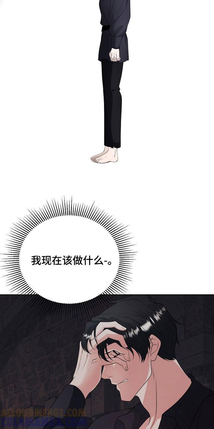 《冒牌恋人》第45章：无法靠近你 第13页