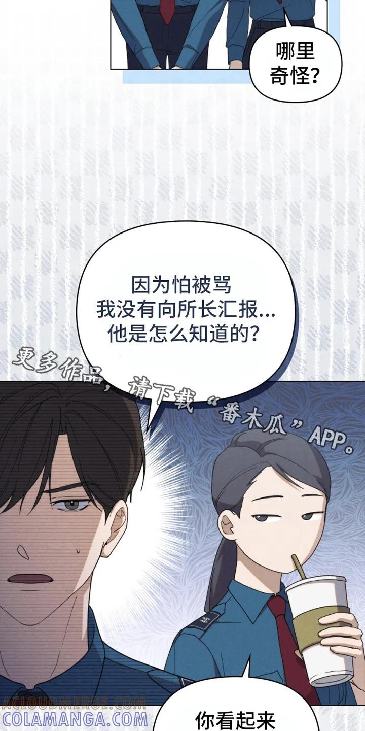《卧底大佬》第5章：检讨 第11页