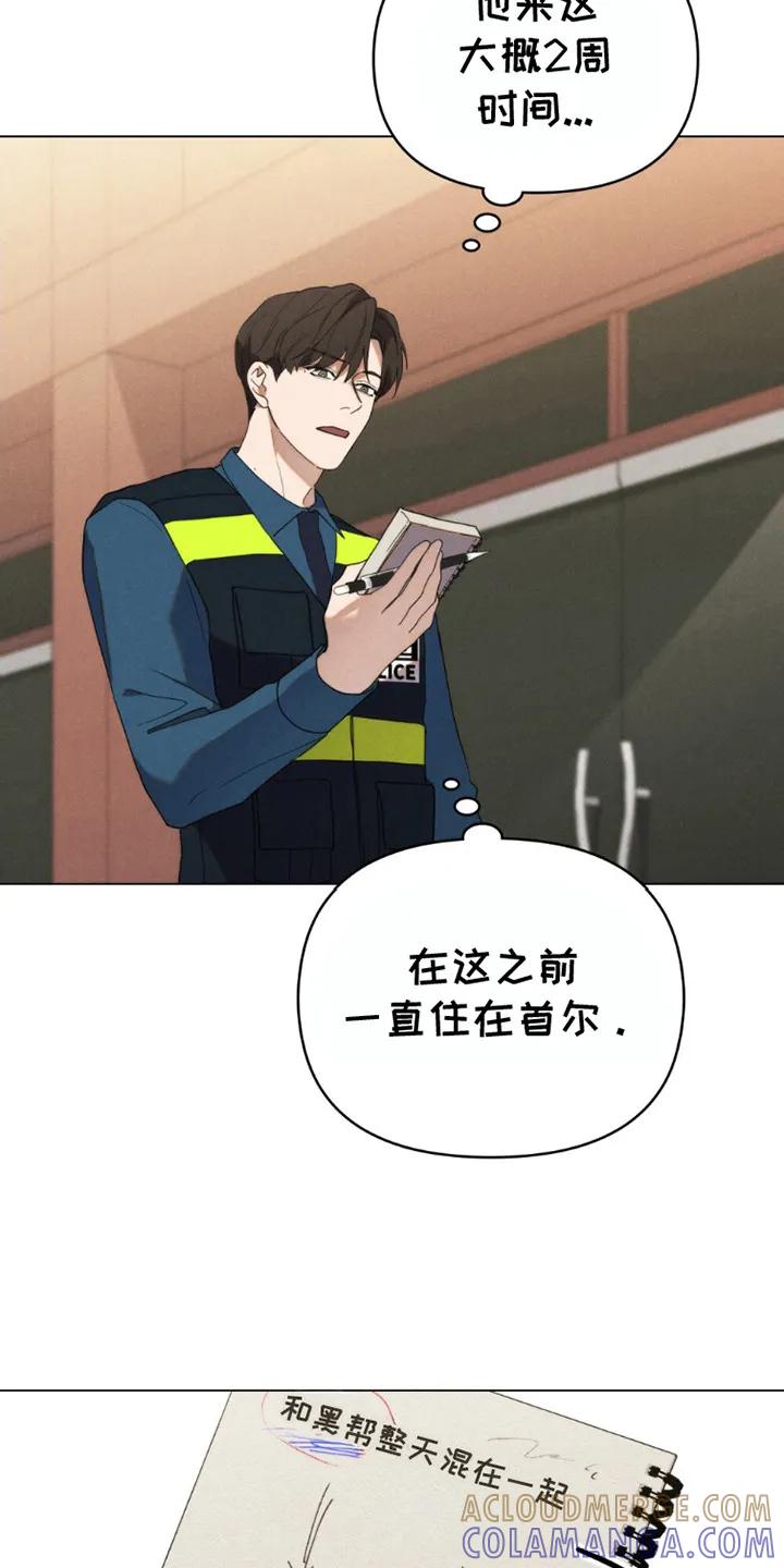 《卧底大佬》第6章：调查 第15页