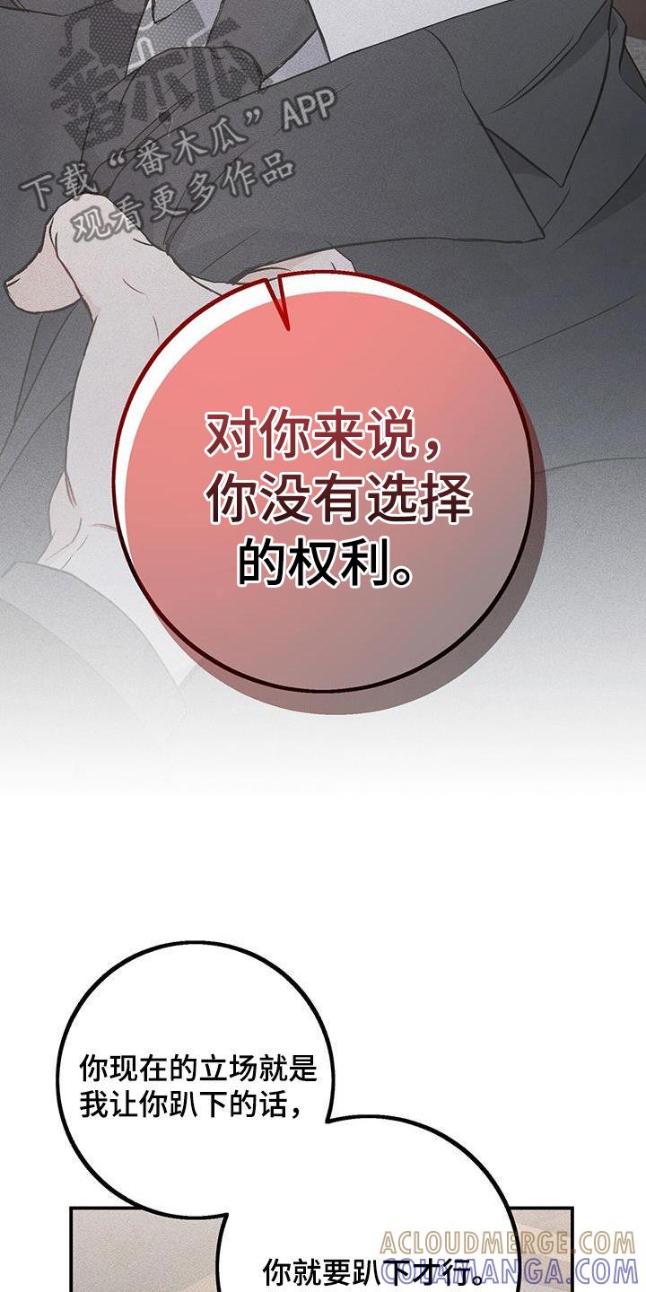 《债务条约》第62章：不会如你所愿 第13页