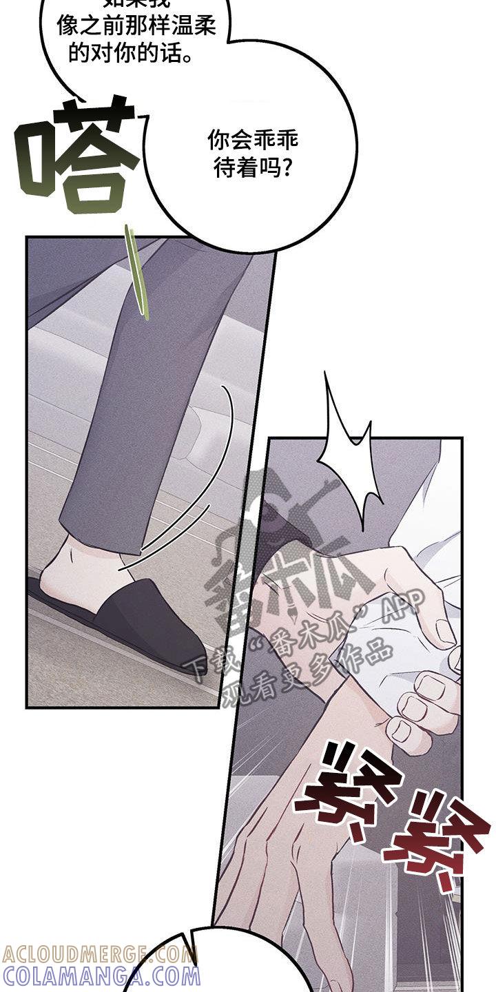 《债务条约》第68章：你逃不掉的 第13页