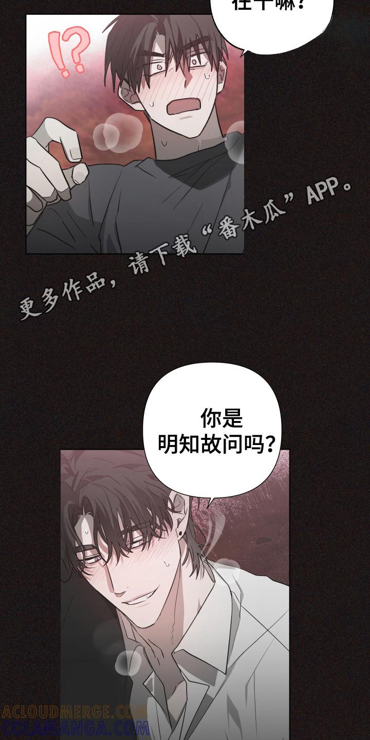 《前世梦魇》第7章：我行我素 第5页