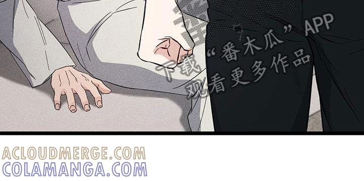 《债务条约》第73章：买衣服 第13页
