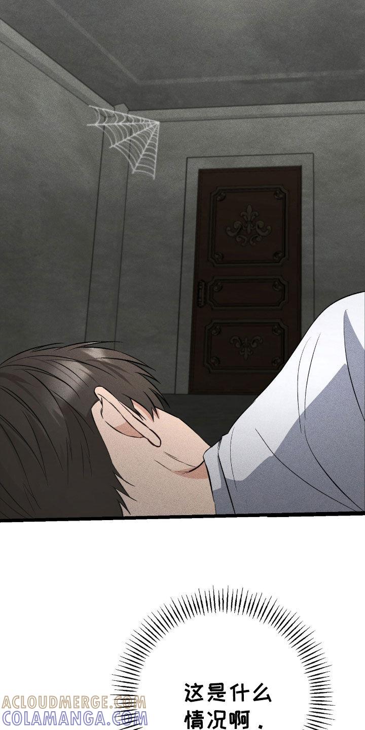 《债务条约》第79章：伪造遗嘱 第29页