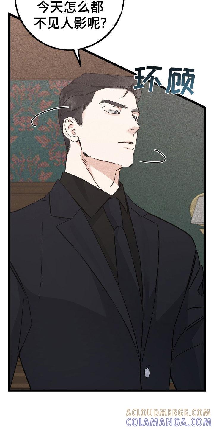 《债务条约》第79章：伪造遗嘱 第17页