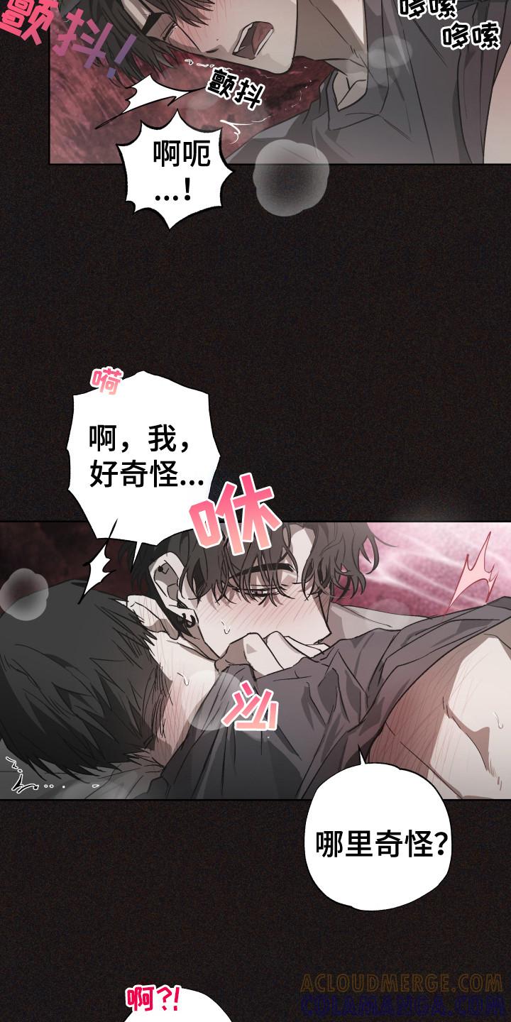 《前世梦魇》第8章：贪恋 第7页