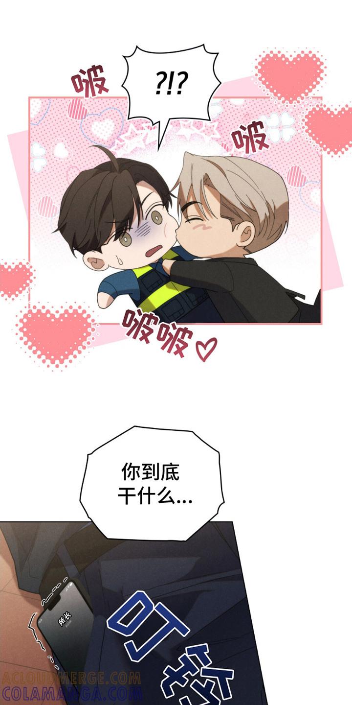 《卧底大佬》第9章：不择手段 第13页
