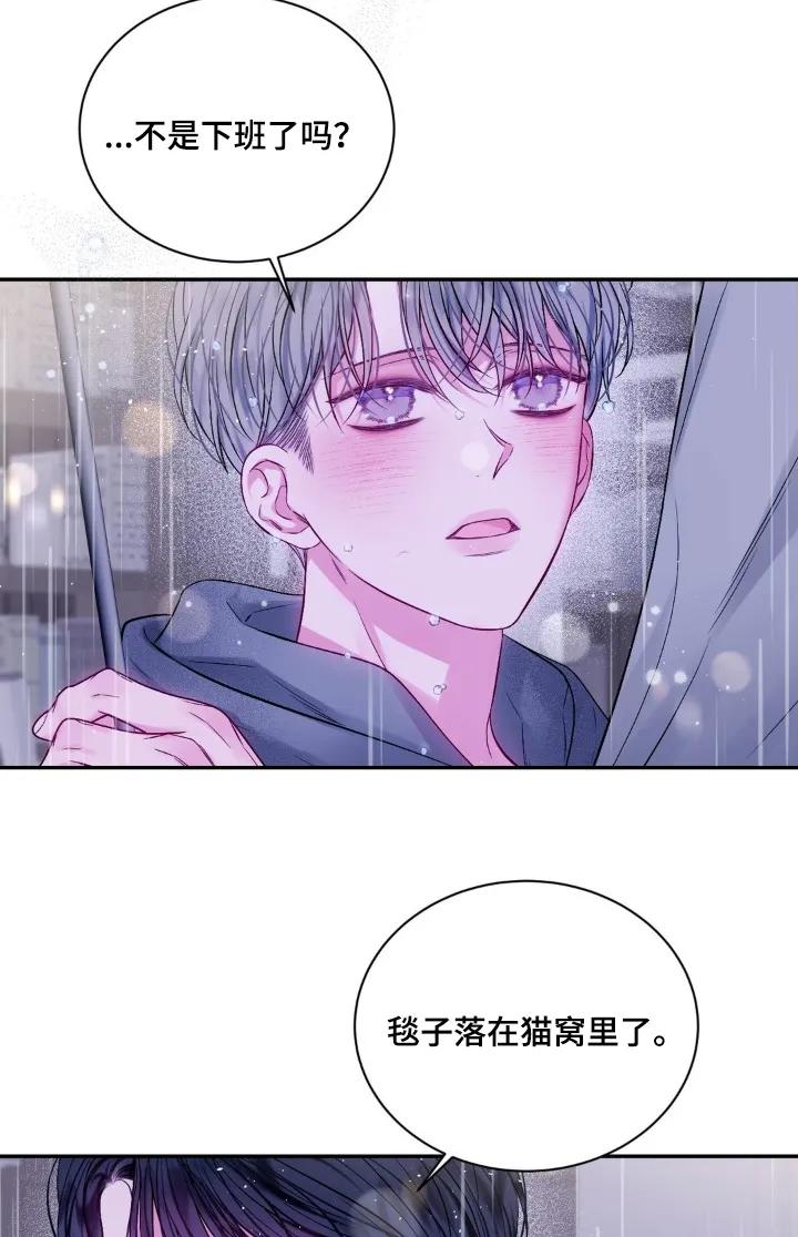 《不完整的空白》第15章：见面 第14页