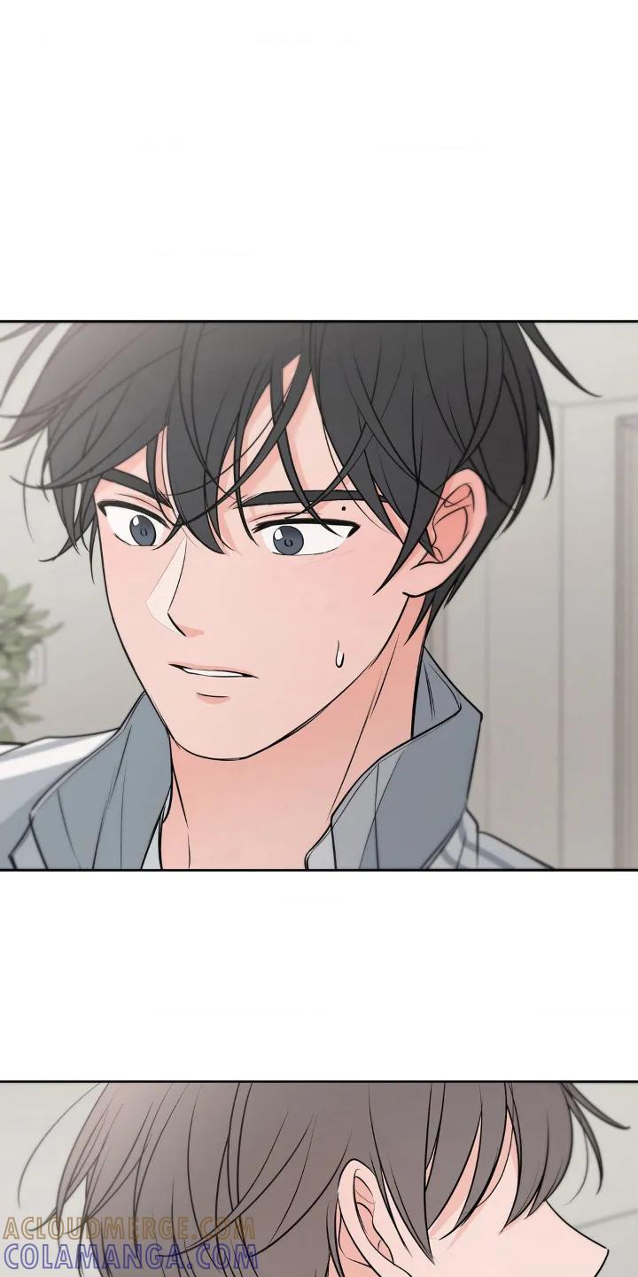 《双生痕》第19章：维持 第19页