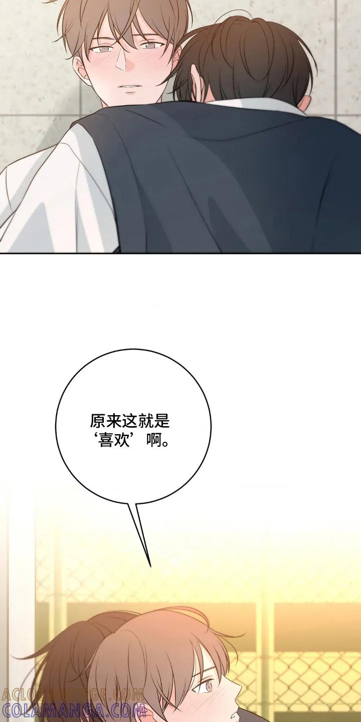 《双生痕》第23章：喜欢 第17页