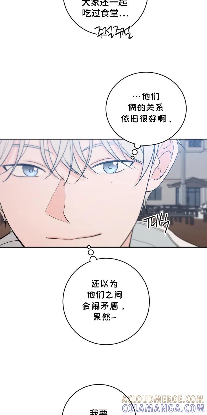 《双生痕》第28章：愉快的夜晚 第11页