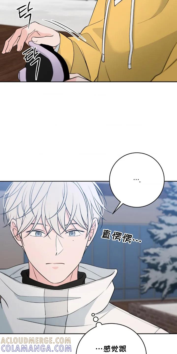 《双生痕》第28章：愉快的夜晚 第19页